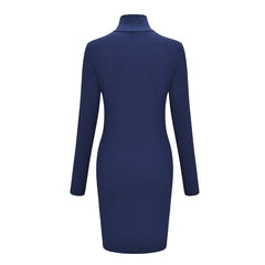 Women Sexy Long Sleeve High Neck Party Dress