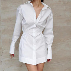 Long Sleeve Polo Collar Shirt Dress