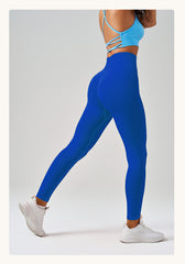 Quick Drying High Waist Sports Leggings