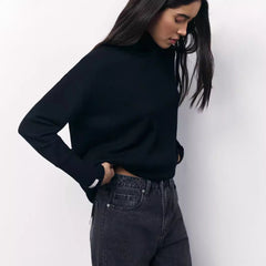 Loose Turtleneck Autumn Winter Sweater