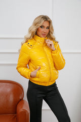 Hooded Long Sleeve Glossy Cotton Padded Jacket