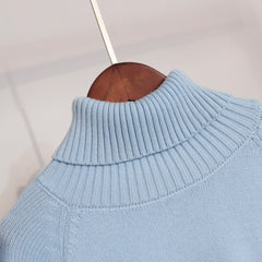 Elegant Solid Color Raglan Sleeve Turtleneck Sweater