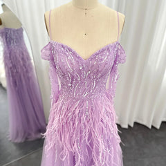 Luxury Feathers Sweetheart Lilac Evening Dress