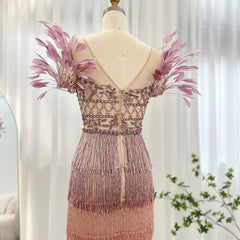 Luxury Feathers Tassel Lilac Evening Dress