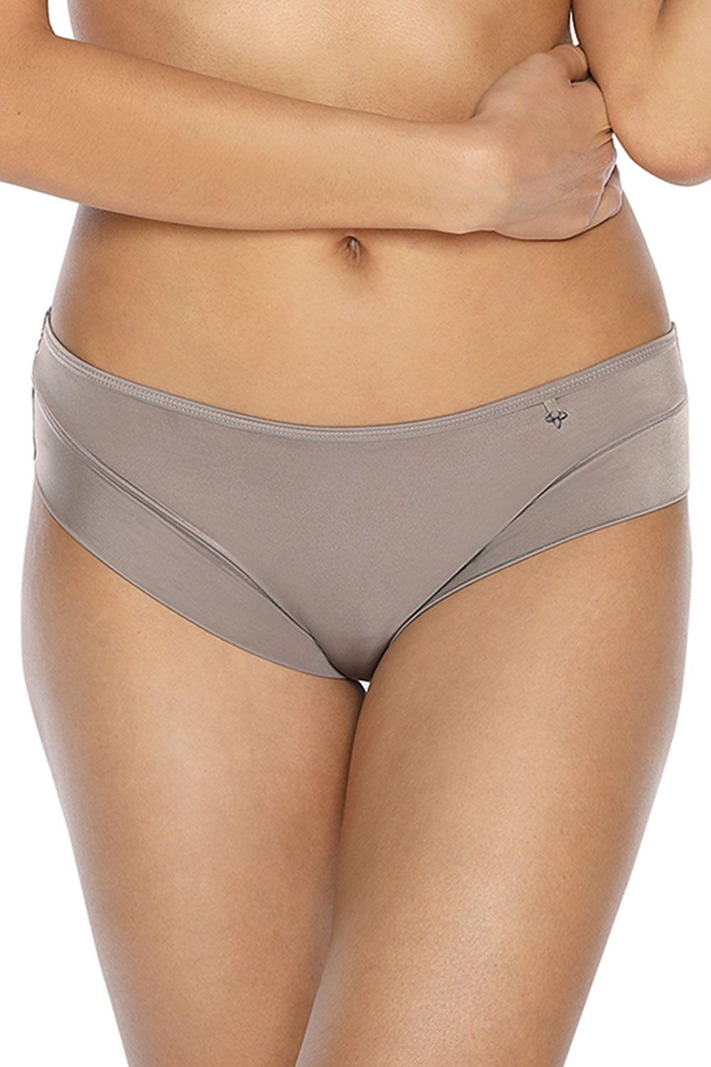 Cut with a mid-rise top grey panties