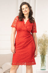 Plus size lace on a lining pencil evening dress