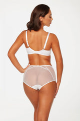 High waist delicate mesh panties