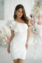  Short dress model 197239 Bicotone 