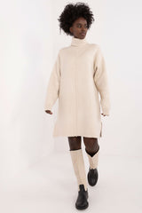 Turtleneck long sleeve mini day dress