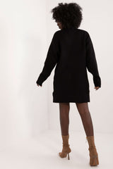 Turtleneck long sleeve mini day dress