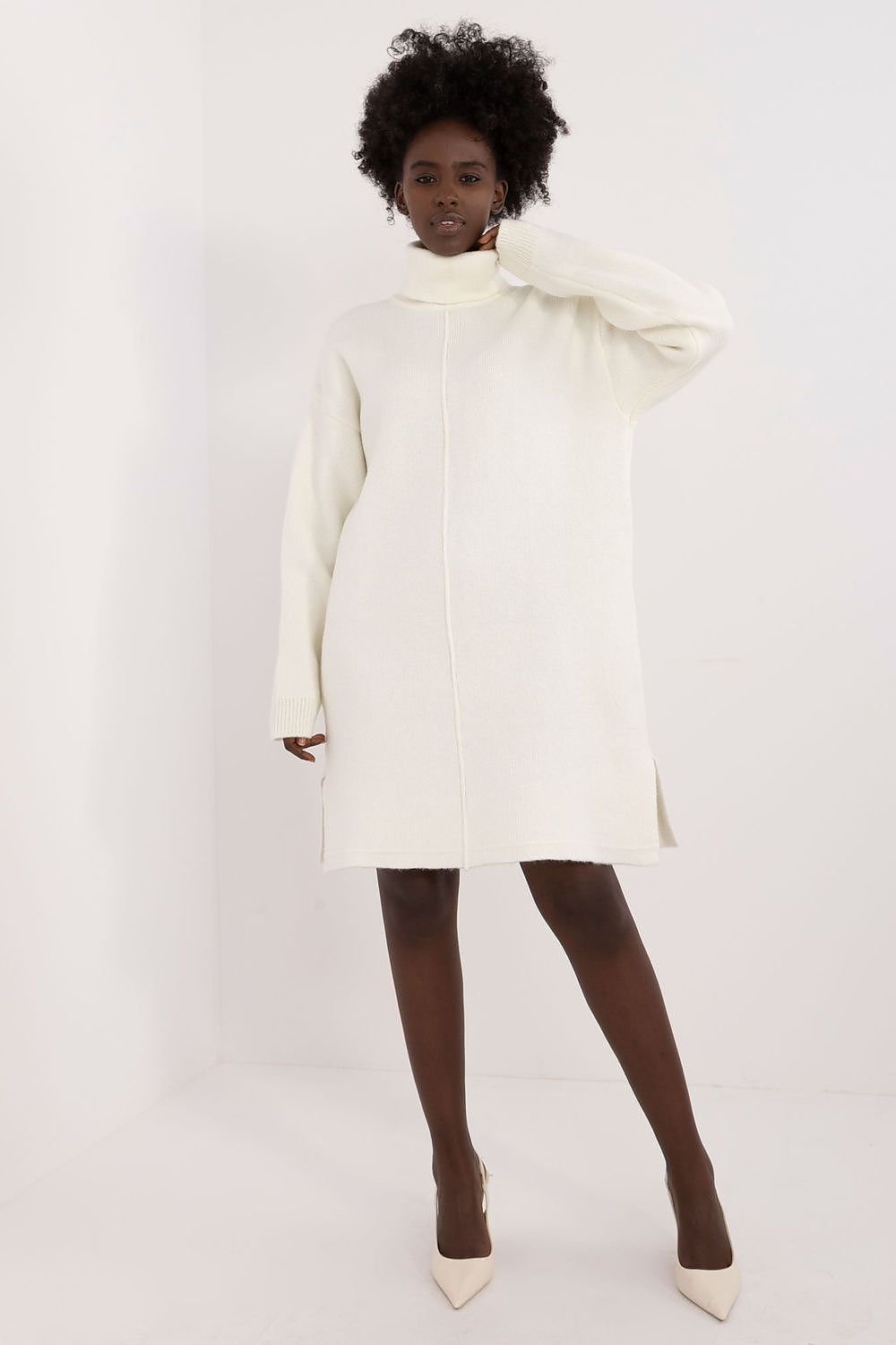 Turtleneck long sleeve mini day dress