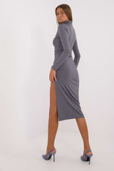 Long sleeves turtleneck pencil dress