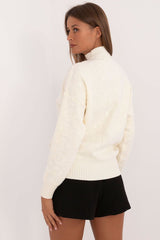 Turtleneck varied texture casual sweater