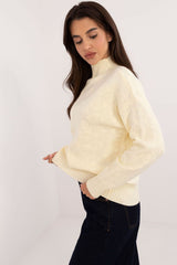 Turtleneck varied texture casual sweater