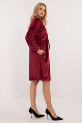 Long sleeves velour everyday dress