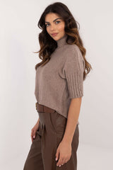 Short sleeve turtleneck casual sweater