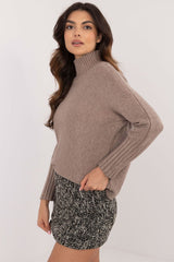 Women's casual turtleneck sweater