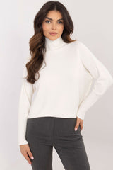 Women's casual turtleneck sweater