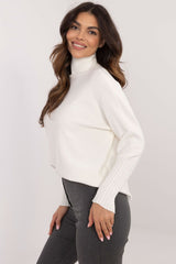 Women's casual turtleneck sweater