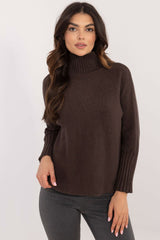 Women's casual turtleneck sweater