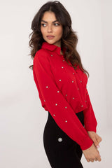 Long sleeve elegant classic shirt